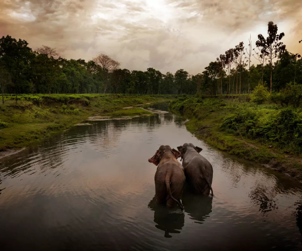 Manas National Park