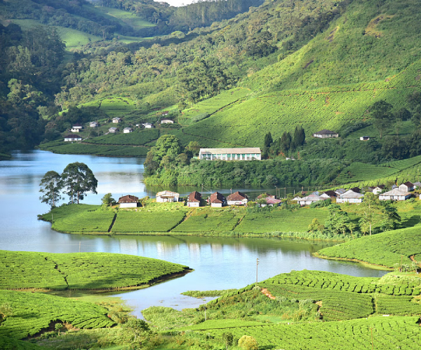 Munnar