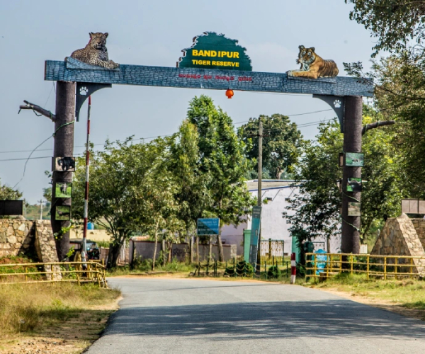 Bandipur National Park